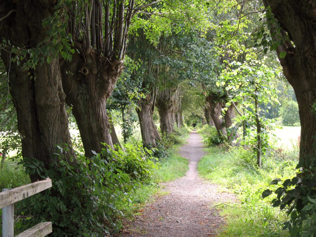 Kirchweg von Pueggen nach Zeetze
