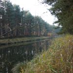 Mütitz-Elde-Wasserstraße